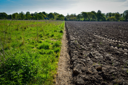 Les bienfaits de la permaculture pour l'environnement