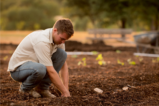 Faire son compost : Un geste éco-responsable à la portée de tous