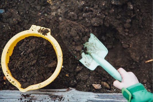 Créer un Potager Zéro Déchet : Cultiver vos Légumes en Réduisant votre Impact Environnemental