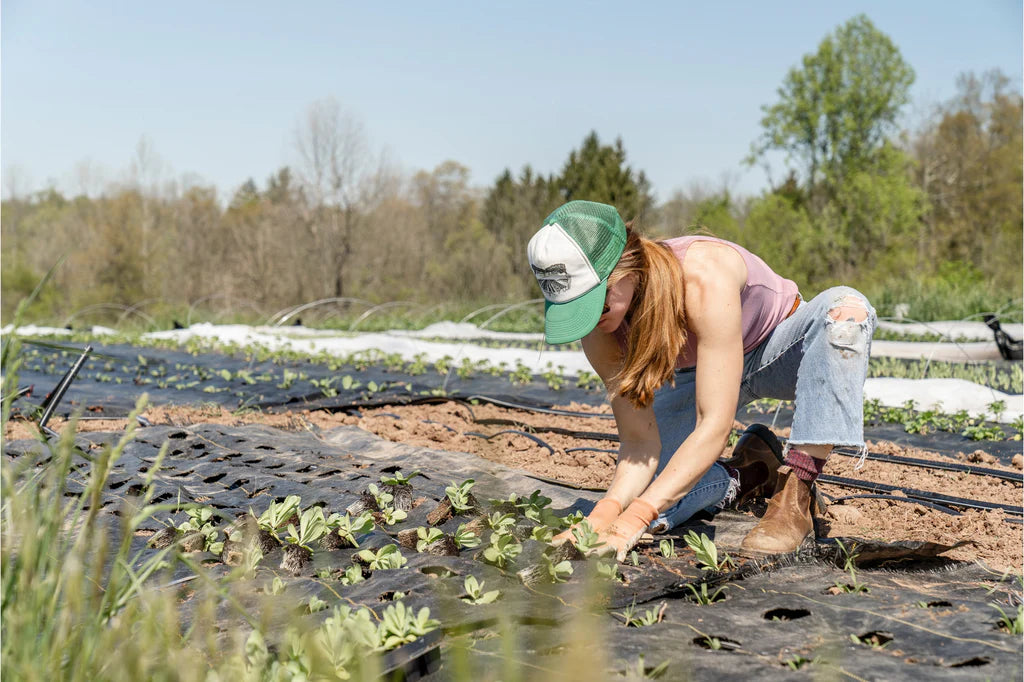 La Permaculture : Comment Créer un Potager Durable et Éco-Responsable