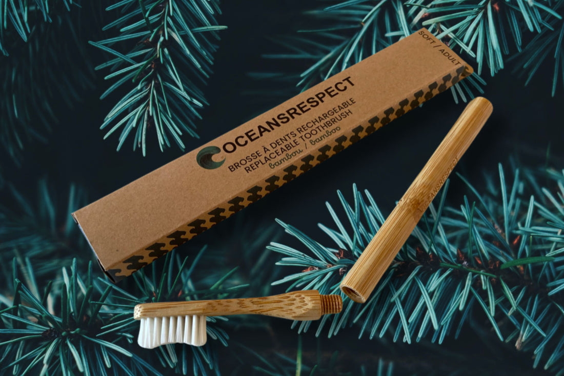 La brosse à dents en bambou à tête interchangeable (vissable) : une alternative écologique et durable par Oceansrespect