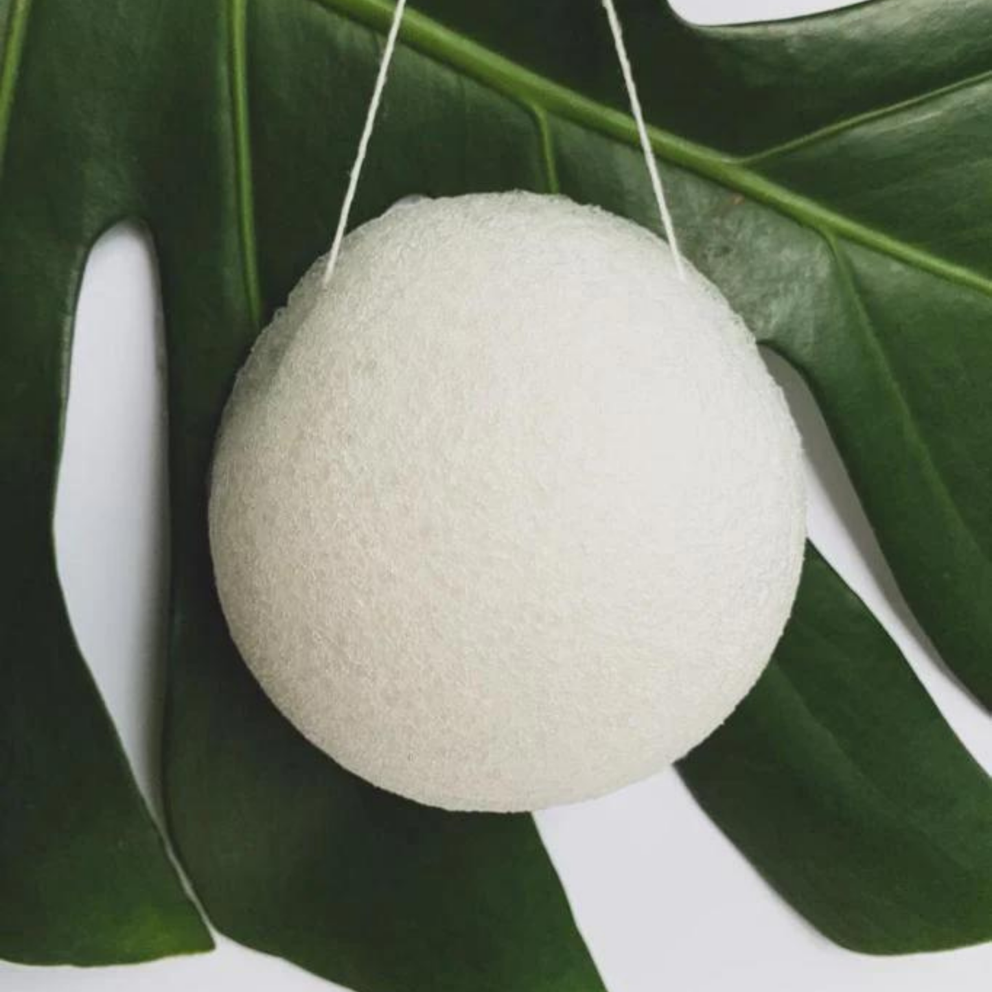 100% biodegradable konjac sponge