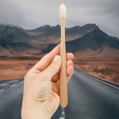 Brosse à dents en bois de hêtre